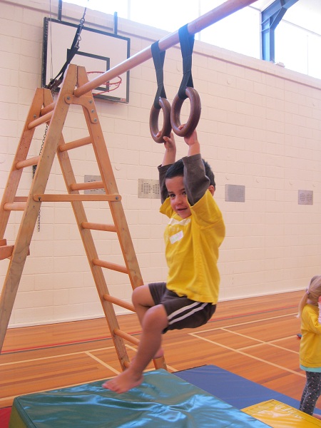 Gym tots action